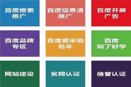 sem代运营公司成功案例：从零到一的营销策略构建